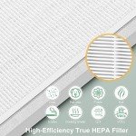 2 Pack 3-in-1 H13 True HEPA Replacement Filter Compatible with Pure Enrichment PureZone Air Purifier Part No. PEAIRPLG