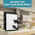 2 Pack Replacement Filters - D for Idylis - IAF-H-100D - Air Purifier AC-2118, AC-2123, IAP-10-280, 1AP10280, Includes 2 x Idylis Hepa and 4 x Carbon Pre-Filters