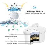 EHM SureFlow Alkaline Water Pitcher Replacement Cartridge – Healthy Drinking Water, PH 8.5-9.5, 6-Stage Filtration & Hydration System