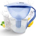 PRO OUTDOOR Purified Clean Crystal-Clear Water Filter Pitcher: Experience Enhanced Extraordinary Refreshing Hydration, Enjoying Convenience, Efficient and Quality You Deserve (Blue - 3.8 LTS)