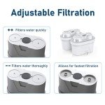 FRIZZLIFE FPT01 Replacement Water Filter Cartridge Set for FP40 Water Filter Pitcher, For T900 & TF900 Instant Hot Water Dispenser Filter Systems (2 Pack)