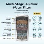 Invigorated Alkaline Water Machine - Countertop Filter Dispenser for Home/Office - 300 Gallon Capacity - 3 pH001 Filters - 3.3 gal