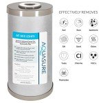 Fortitude V2 Series Sediment/Carbon/Zinc Bacteria Inhibiting Triple Purpose Replacement Filter - Standard (Sediment/Carbon/Zinc, Standard)