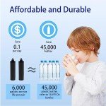 Renami Water Filter Replacement for BB9-2® Black Activated Carbon Filters, Compatible with Berkey® Travel, Large, Royal, Crown Series, Pack of 2