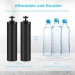 airkitrep Water Filter Replacement for Berkey, Black Purification Elements, Activated Carbon Filters, Compatible with Berkey Gravity Water Filter System, Pack of 2