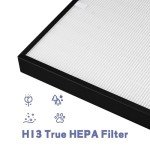 Popurure AP350 Replacement Filter for Envion Allergy Pro AP350 Air Purifier, True HEPA(H13) Replaces Part Number AP350F, 1-Pack