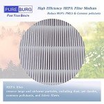 PUREBURG Replacement Filters Compatible with HIMOX H07 Portable desktop Air Purifier,2-Pack H13 HEPA Air Clean Dust VOCs
