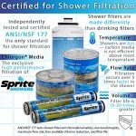 Sprite Showers HO2-CM High Output 2 Universal Shower Filter, Chrome