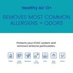 AprilAire 213CBN Replacement Filter for AprilAire Whole House Air Purifiers - MERV 13 with Carbon, Healthy Home Allergy + Odor Reduction, 20x25x4 Air Filter (Pack of 2)