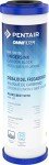 Pentair OMNIFilter CB7 Carbon Water Filter, 10-Inch, Premium Under Sink Dual Function Carbon Block Taste & Odor Replacement Cartridge, 10" x 2.5", 10 Micron,White