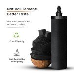 Phoenix Gravity-Fed 1.5 Gallon Stainless Steel Camping & Countertop Water Filter System with Authentic Black Phoenix Filter Elements and Stainless Steel Tap