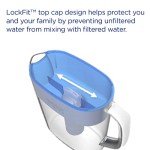 PUR Plus 11-Cup Water Filter Pitcher with 1 Lead-Reducing PUR Plus Filter, Dishwasher Safe, Powerful Filtration, Filter Change Indicator Light, Sage, PPT111M