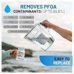 Epic Water Filters Replacement PFAS Filter, 150 Gallon Filter, Removes PFAS, PFOA, PFOS