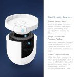 Clearly Filtered Water Pitcher Replacement Filter (Single)