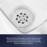 Clearly Filtered Water Pitcher Replacement Filter (Single)