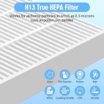 Aiskaer AP03 Replacement Filter Compatible with Conair Portable Small Air Purifier Model AP03, H13 Ture HEPA Filter Replacement, 2-Pack