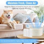 Aiskaer AP03 Replacement Filter Compatible with Conair Portable Small Air Purifier Model AP03, H13 Ture HEPA Filter Replacement, 2-Pack