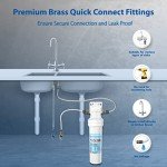 APEC Ultra High Capacity Under Sink Water Filtration System - Premium Quality US Made Filter (CS-2500)
