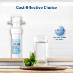 APEC Ultra High Capacity Under Sink Water Filtration System - Premium Quality US Made Filter (CS-2500)