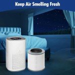 Senowi 2 Pack 12030 Medium Room True HEPA Air Purifier Replacement Filter Compatible with Clorox 11030 & 11031 Air Cleaner Purifier for Home, 1,000 Sq. Ft. Capacity, Part #12030