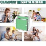 CHAMONNY Europa Toxin Remover Filter Replacement, Compatible with Afloia Europa Air Purifier, 3-in-1 H13 True HEPA Filter and Toxin Remover Filter, 2 Pack (Europa Green)
