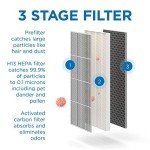 Medify Air Air MA-40 Air Purifier Medical Grade True HEPA H13 Genuine Replacement Filter (ME-40, 2-Pack)