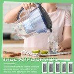 Lounsweer 12 Packs Replacement Activated Charcoal Distiller Filters Coconut Husk Activated Carbon Filter Sachets Compatible with Countertop Water Distiller Models