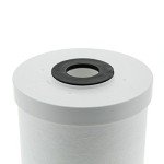Pentair Pentek RFC-BB Big Blue Carbon Water Filter, 10-Inch, Whole House Heavy Duty Radial Flow Carbon Replacement Cartridge with Granular Activated Carbon (GAC) Filter, 10" x 4.5", 25 Micron