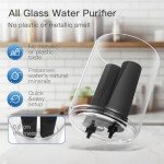 Gravity-Fed Glass Water Filter System - 2.25 Gallon