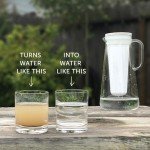 LifeStraw Home Replacement Microfilter for Ultimate Protection