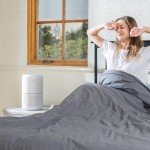 LEVOIT Core300 Air Purifier for Allergies & Pets