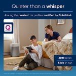 Blueair Large Room Air Purifier - HEPASilent 211i Max