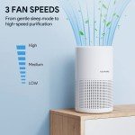 Portable FULMINARE H13 HEPA Air Purifier