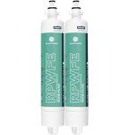 GE RPWFE2PK Refrigerator Water Filter - 2 Pack