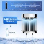 Gravity Water Filter System with 2 Carbon Filters