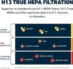Hathaspace HEPA Filter Replacement - 2 Pack