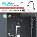 Frizzlife SW10F Under Sink Water Filter System