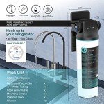 Frizzlife SW10F Under Sink Water Filter System