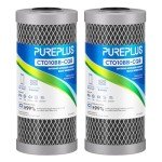 PUREPLUS 10" Whole House Lead Removal Filter 2-Pack