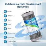 PUREPLUS 10" Whole House Lead Removal Filter 2-Pack