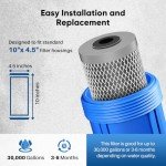 PUREPLUS 10" Whole House Lead Removal Filter 2-Pack