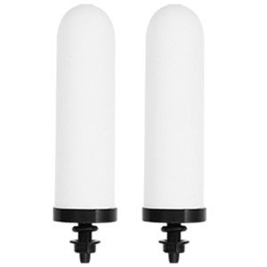 Ceramic Activated Carbon Replacement Filters - 2 Pack