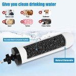 Ceramic Activated Carbon Replacement Filters - 2 Pack