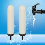 Ceramic Activated Carbon Replacement Filters - 2 Pack