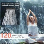 Filtered Shower Head - Matte Black, 6 Modes