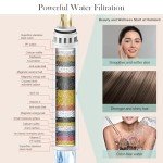 Filtered Shower Head - Matte Black, 6 Modes