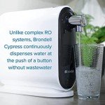 Brondell H630 Cypress Countertop Water Filter System