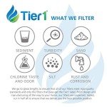 Tier1 Undersink Water Filter Replacement - 2 Pack