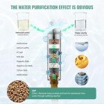 High-Pressure Handheld Shower Head with Filters