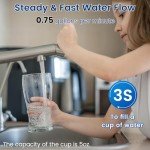 Vortopt Under Sink Water Filter System - NSF Certified